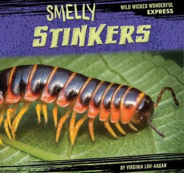 Smelly Stinkers Cheap